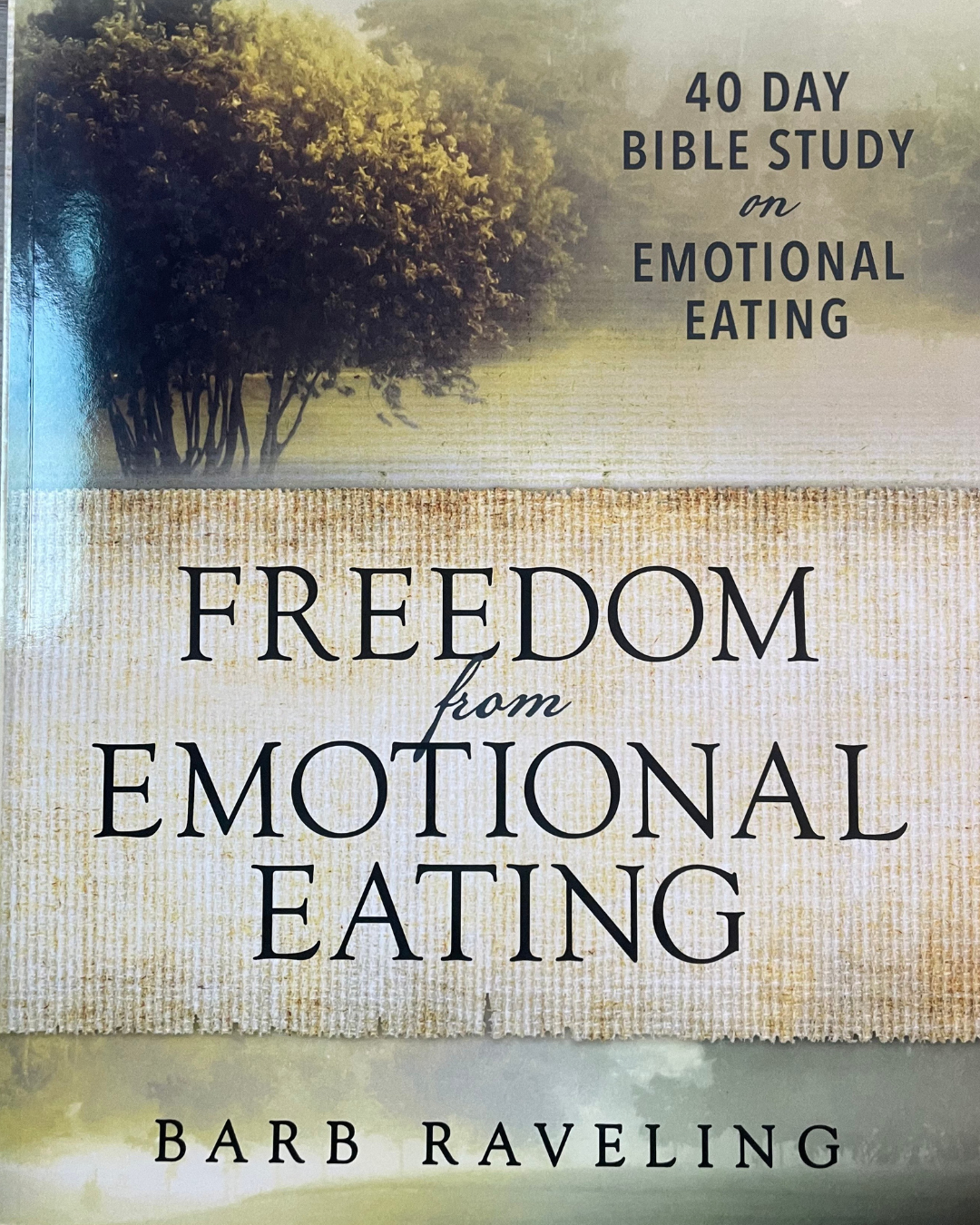 Freedom from Emotional Eating – Study Scripture Online